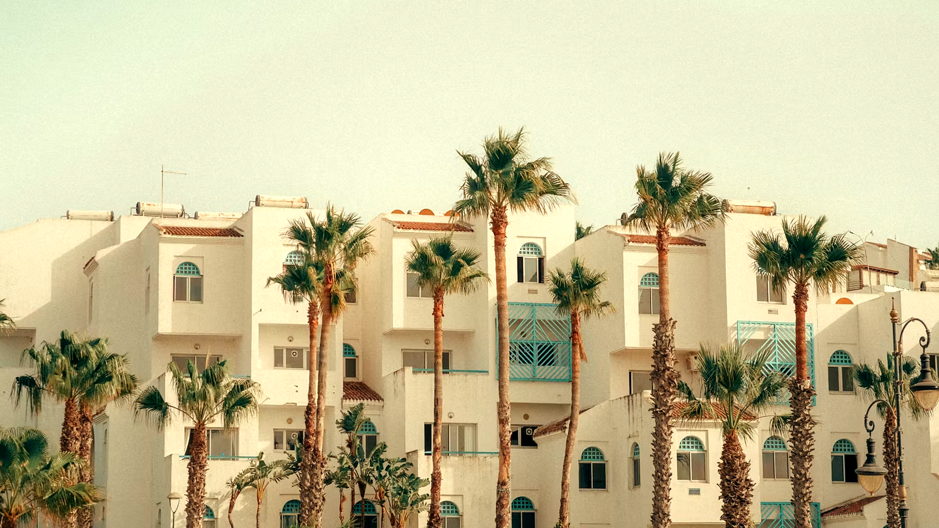 Architecture et palmiers à Marrakech